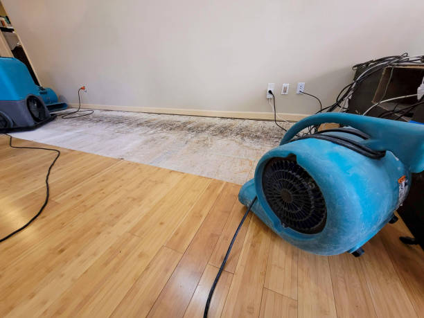 Professional Water Damage Repair technician working in Byfield, MA